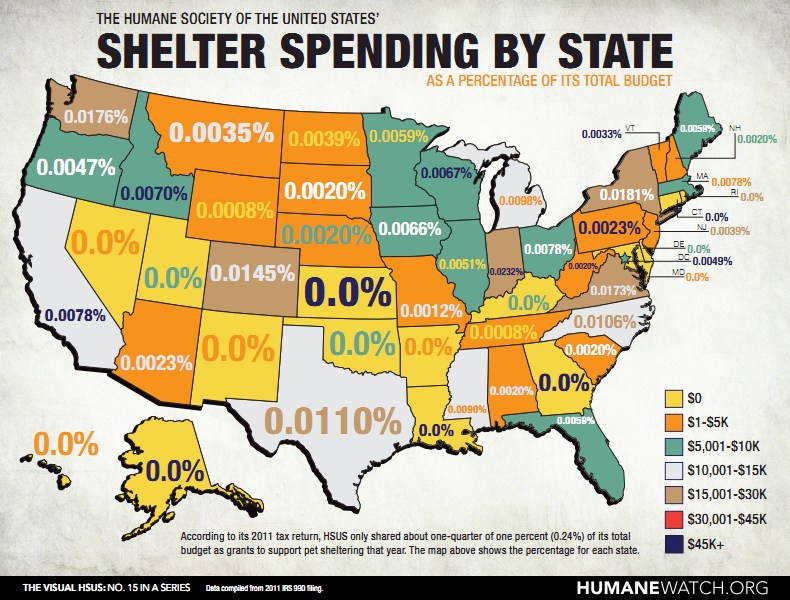 last shelter survival state immigration cost