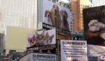 Times Square Billboards, Jan-Feb 2011