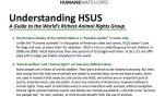 Handout: “Understanding HSUS”
