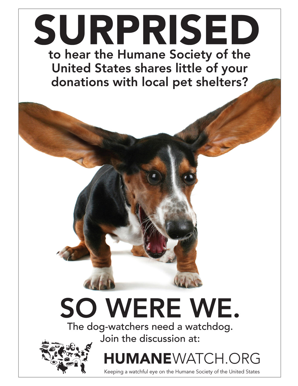 Washington, DC Bus Shelter ad: “SURPRISED?” - HumaneWatch
