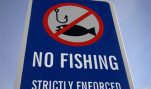 Is HSUS Against Fishing?