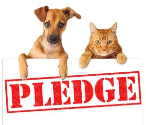 shelter-pledge-animals - HumaneWatch