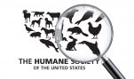 We’ve Filed a New IRS Complaint Against HSUS