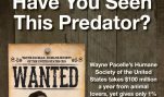 Have You Seen This Predator?