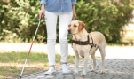 Humaniacs, Part 4: Activist Slammed for Criticizing Guide Dogs