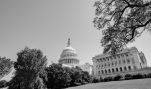 Members of Congress Should Reject HSUS Award