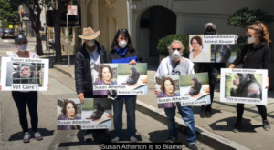 Susan Atherton HSUS Board Member Protest