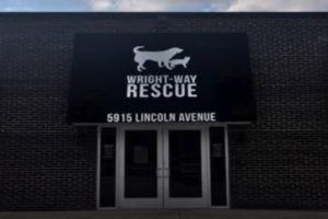 Illinois Shelter Investigated Multiple Times, Faces Numerous Allegations of Misconduct