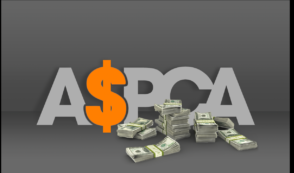 ASPCA Charity Rating Downgraded