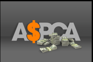 ASPCA Charity Rating Downgraded