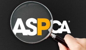 ASPCA Slammed in Glassdoor Reviews