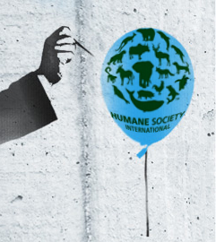 Humane Society International