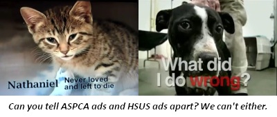 California Spcas Snarl At Name Confusion Humanewatch
